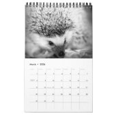beaux animaux - calendrier (d'une seule page) (Mar 2026)