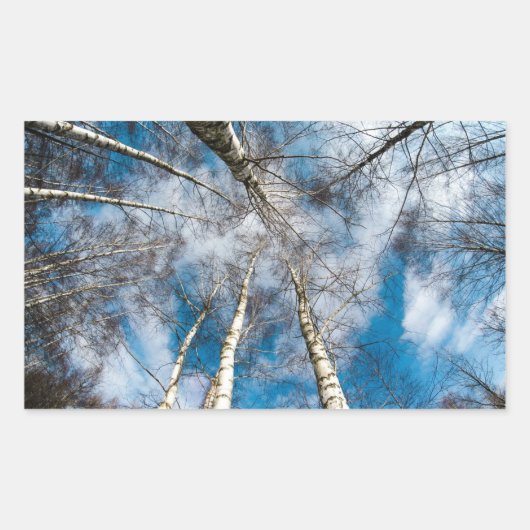 Beaux arbres qui se dirigent vers le Sticker Sky (Devant)