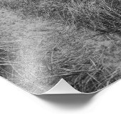 Beaux-Arts Photographie Impression du lac Michigan (Coin)