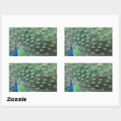 Beaux autocollants Peacock (Feuille)