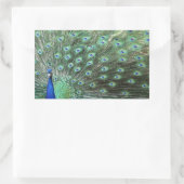 Beaux autocollants Peacock (Sac)