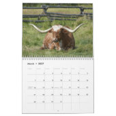 Beaux bovins calendrier de 12 mois pour 2016 (Mar 2027)
