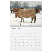 Beaux bovins calendrier de 12 mois pour 2016 (Jan 2027)