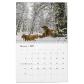 Beaux bovins calendrier de 12 mois pour 2016 (Feb 2027)