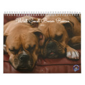 Beaux Boxers Calendrier 2021 (Protection)