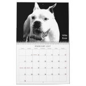 Beaux Bullys Calendrier des Chiens 2020 (Feb 2027)