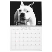 Beaux Bullys Calendrier des Chiens 2020 (Feb 2026)