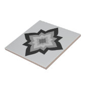 Beaux carreaux décoratifs (Côté)