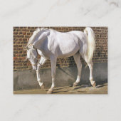 Beaux cartes de visite Arabes blancs de cheval (Dos)