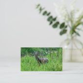 Beaux Cartes de visite de cerfs (Debout devant)