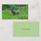 Beaux Cartes de visite de cerfs (Devant / Derrière)