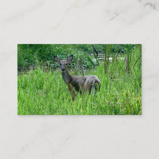 Beaux Cartes de visite de cerfs (Devant)