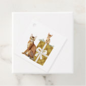 Beaux chats abyssiniens sur un paquet étiquettes c (En situation)