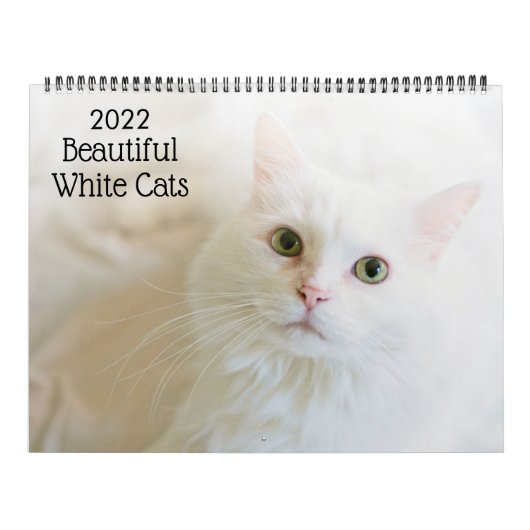 Beaux Chats Blancs Calendrier 2022 (Protection)