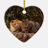 Beaux Chats, Ornement (Devant)