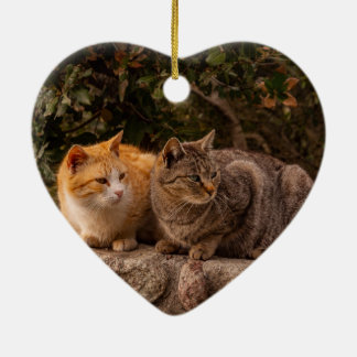 Beaux Chats, Ornement