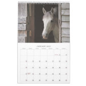 Beaux Chevaux Calendrier Cheval 12 Mois (Jan 2027)