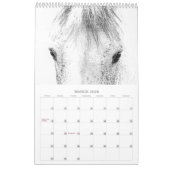 Beaux Chevaux Calendrier Cheval 12 Mois (Mar 2026)