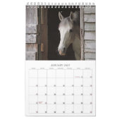 Beaux Chevaux Calendrier des petits chevaux de 12 (Jan 2027)