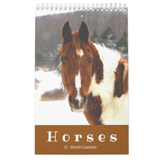 Beaux Chevaux Calendrier des petits chevaux de 12  (Protection)