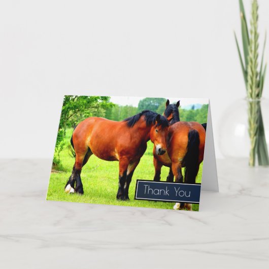 Beaux chevaux de trait bai dans un pré Merci (Devant)