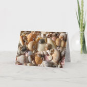 Beaux Coquillages Collection Tropical Carte de Not (Devant)