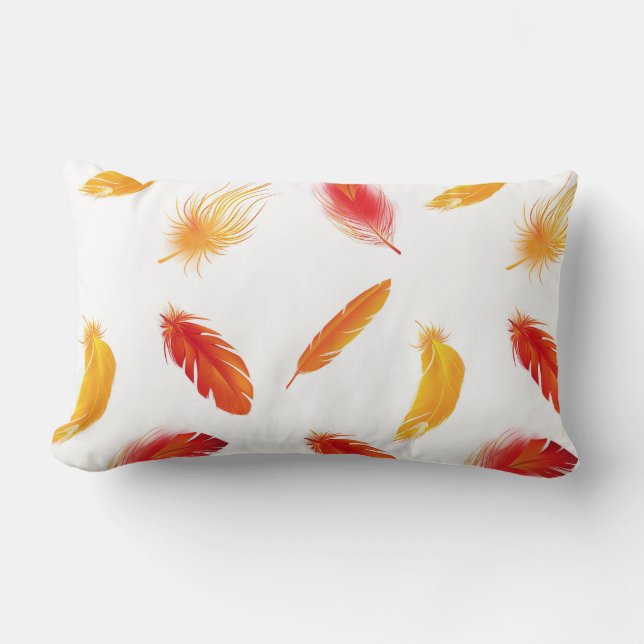 Beaux coussins aux plumes colorées (Recto)
