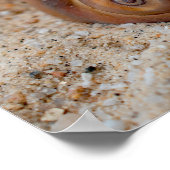 Beaux de plage cassées #2 Poster (Coin)