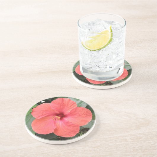 Beaux Dessous de verre à fleurs d'Hibiscus orange (Côté)