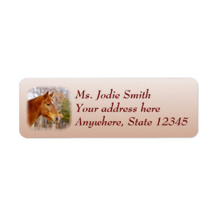 Beaux étiquettes de adresse de retour de cheval d