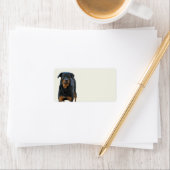 Beaux Étiquettes Rottweiler (En situation)