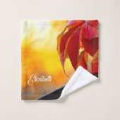 Beaux feuilles de vigne rouge dans le jardin d'aut (Gant de toilette)