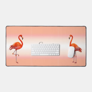 Beaux Flamants roses roses sur Coral clair rose