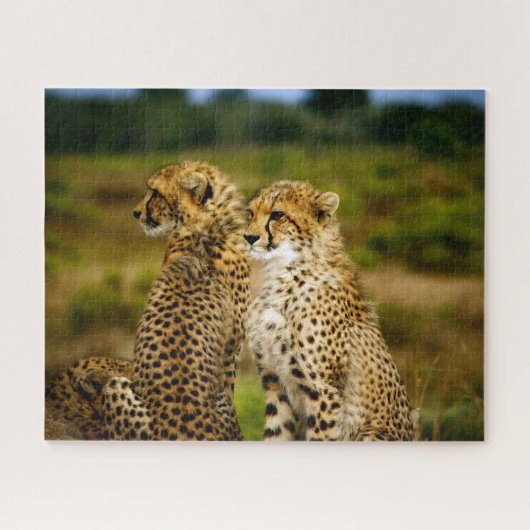Beaux frères Cheetah, Puzzle Jigsaw (Horizontal)
