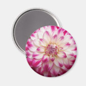 Beaux Magneet (Voorkant / Achterkant)