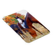 Beaux Magnets de chevaux (Côté Droit)