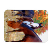 Beaux Magnets de chevaux (Horizontal)
