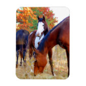 Beaux Magnets de chevaux (Vertical)
