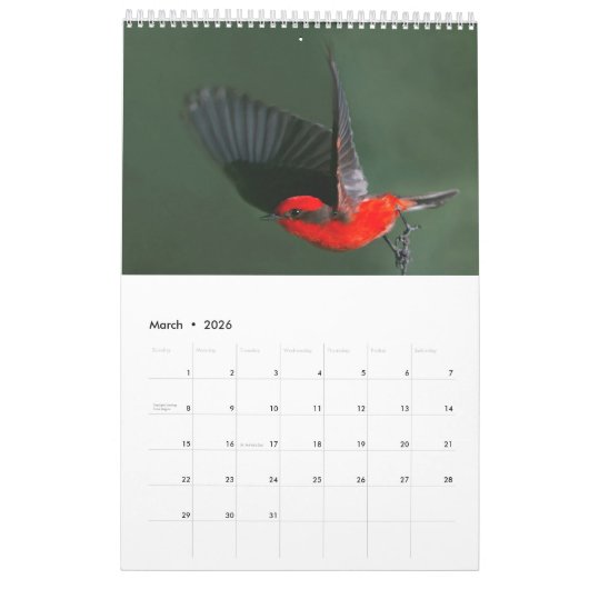 Beaux oiseaux 2023 Calendrier mural (Mar 2026)
