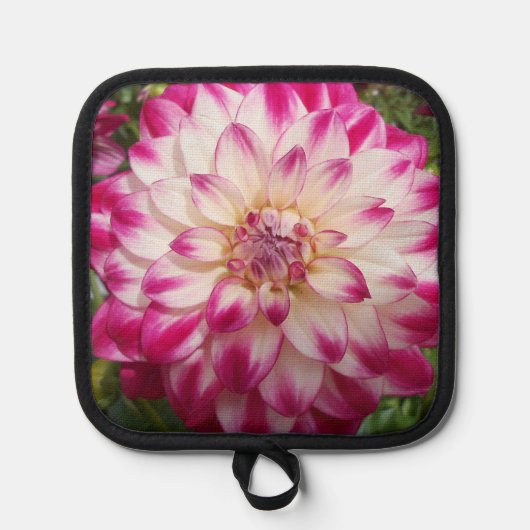 Beaux Pannenlap (Voorkant)