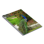 Beaux paon et carnet de fleurs (Côté Droit)