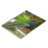 Beaux paon et carnet de fleurs (Côté gauche)