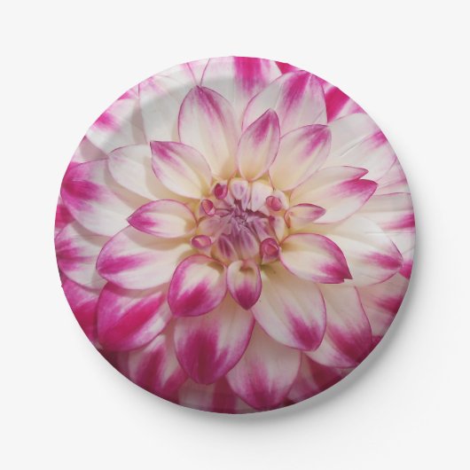 Beaux Papieren Bordje (Voorkant)