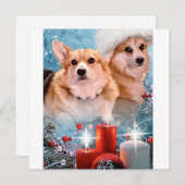 Beaux Pembroke Welsh Corgis  Carte de vacances (Devant / Derrière)