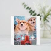 Beaux Pembroke Welsh Corgis  Carte de vacances (Debout devant)
