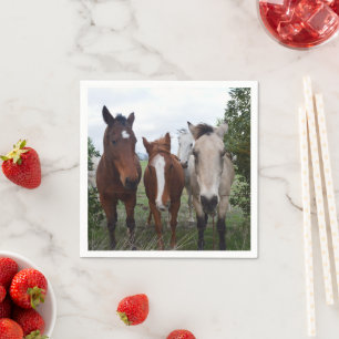 Beaux problèmes de cheval, serviettes en papier