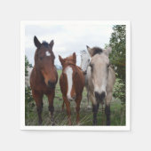 Beaux problèmes de cheval, serviettes en papier (Devant)