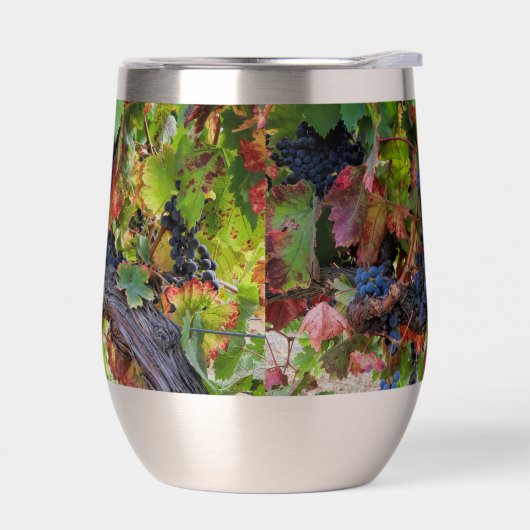 Beaux raisins et vignes (Gauche)