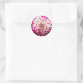 Beaux Ronde Sticker (Tas)