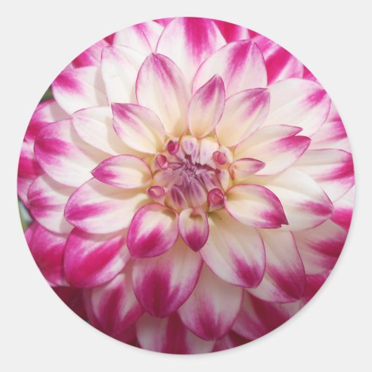 Beaux Ronde Sticker (Voorkant)